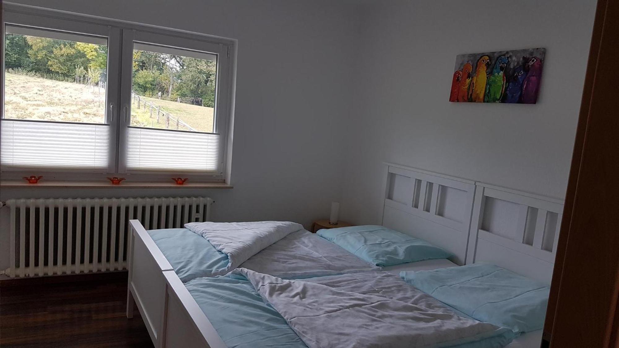 Ferienwohnung Am Grasweg Höxter المظهر الخارجي الصورة